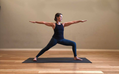Experiential Anatomy: Advanced Yoga Teacher Training