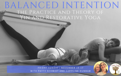 Balanced Intention: The Practice and Theory of Yin and Restorative Yoga
